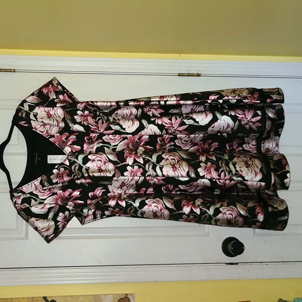 Beautiful Floral NWT Lane Bryan Dress 18/20